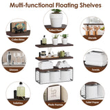 2 In 1 Floating Shelves Wall Mounted Wall Decor Plants